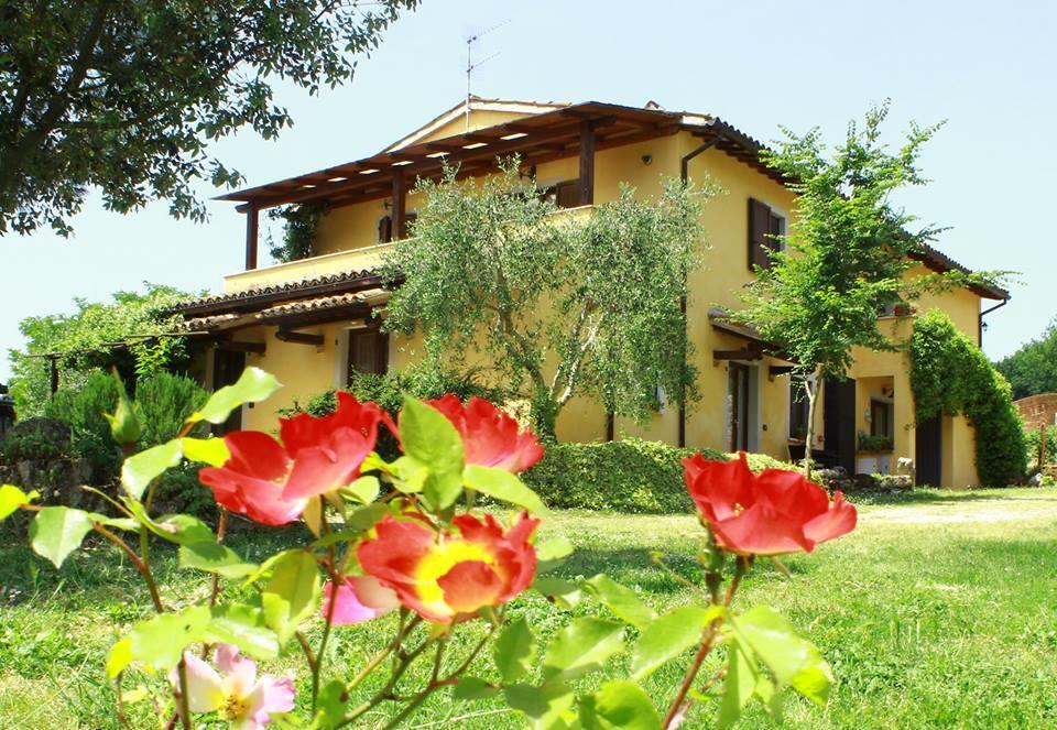 Villa La Casa Di Gelsomino Massa Martana Exterior foto